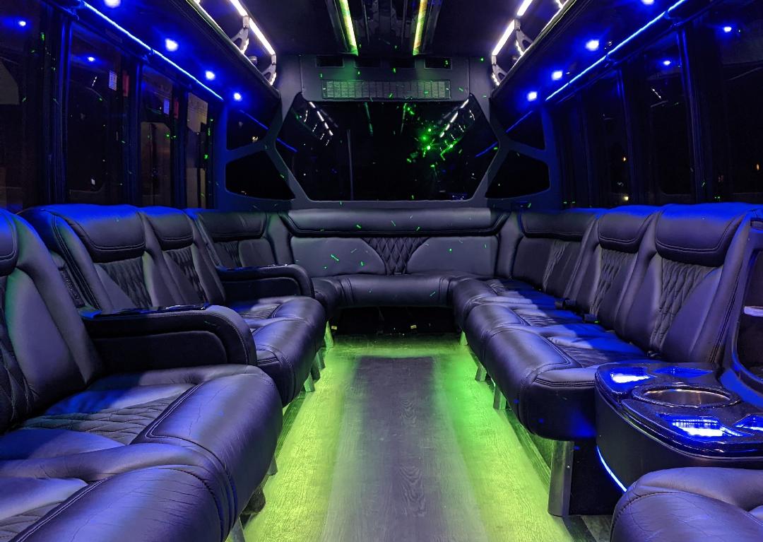 28 passenger Party Bus