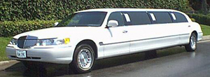 South bay ford livery #6